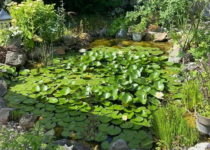 Marienburg * لورش